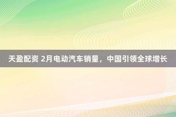 天盈配资 2月电动汽车销量，中国引领全球增长