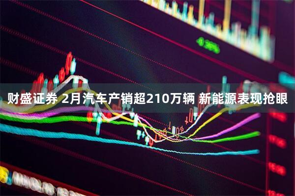财盛证券 2月汽车产销超210万辆 新能源表现抢眼