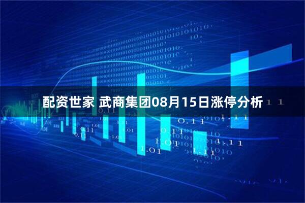 配资世家 武商集团08月15日涨停分析